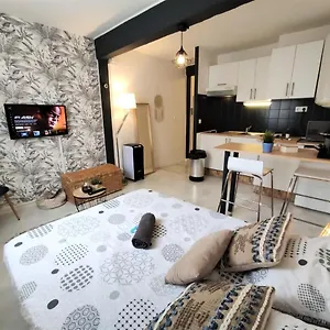 Le Jasmin Des Carmes - Hypercentre - Netflix , Toulouse France